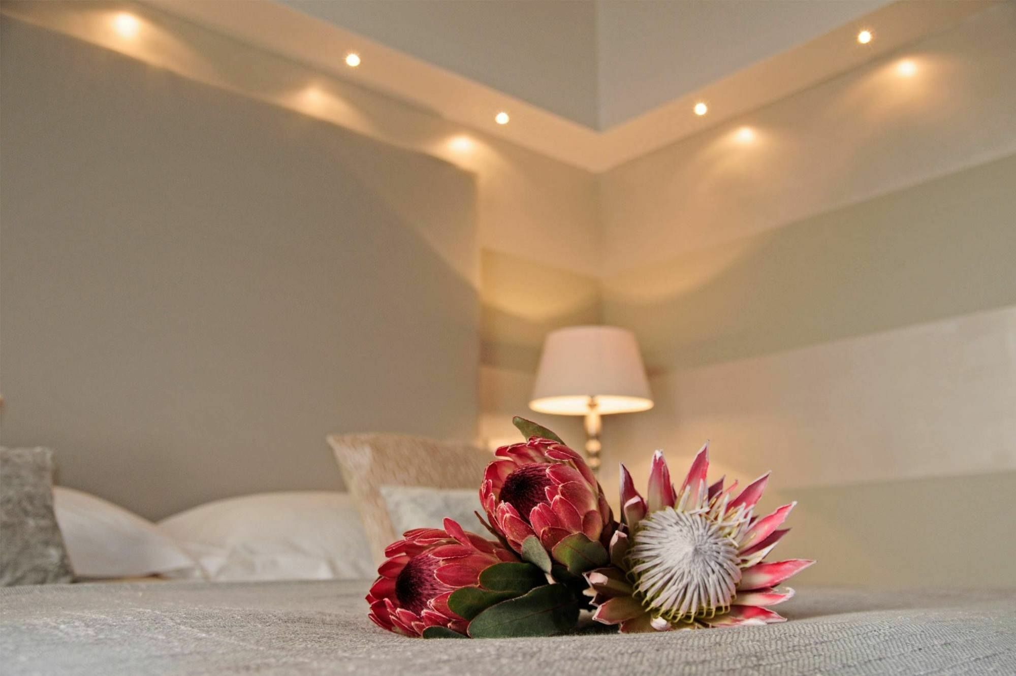 Hotel 94 On Rodger Mossel Bay Zewnętrze zdjęcie